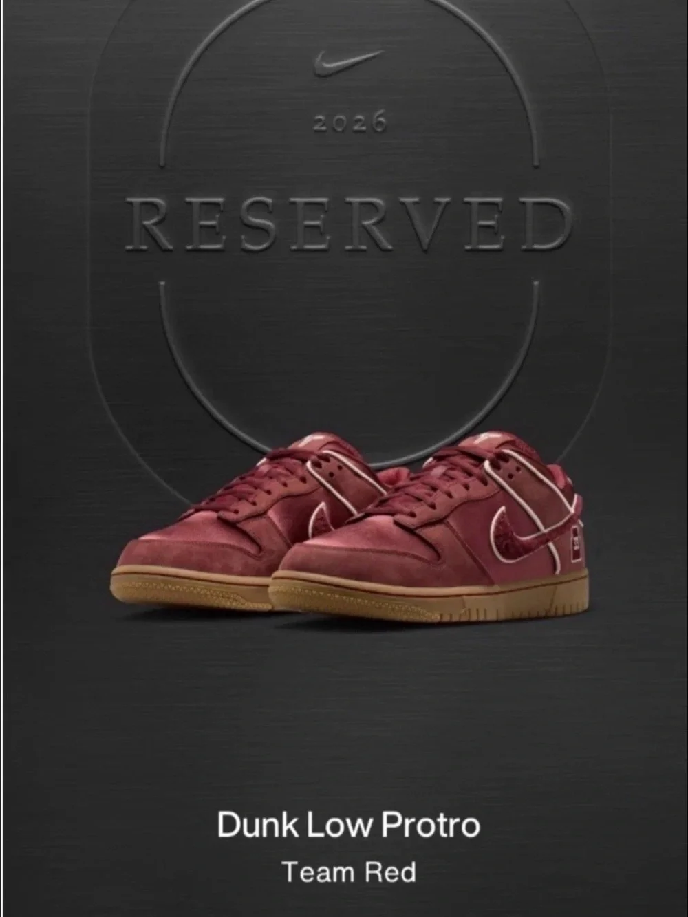 Nike Dunk Low Protro Maroon with Gum Sole